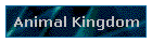 Animal Kingdom